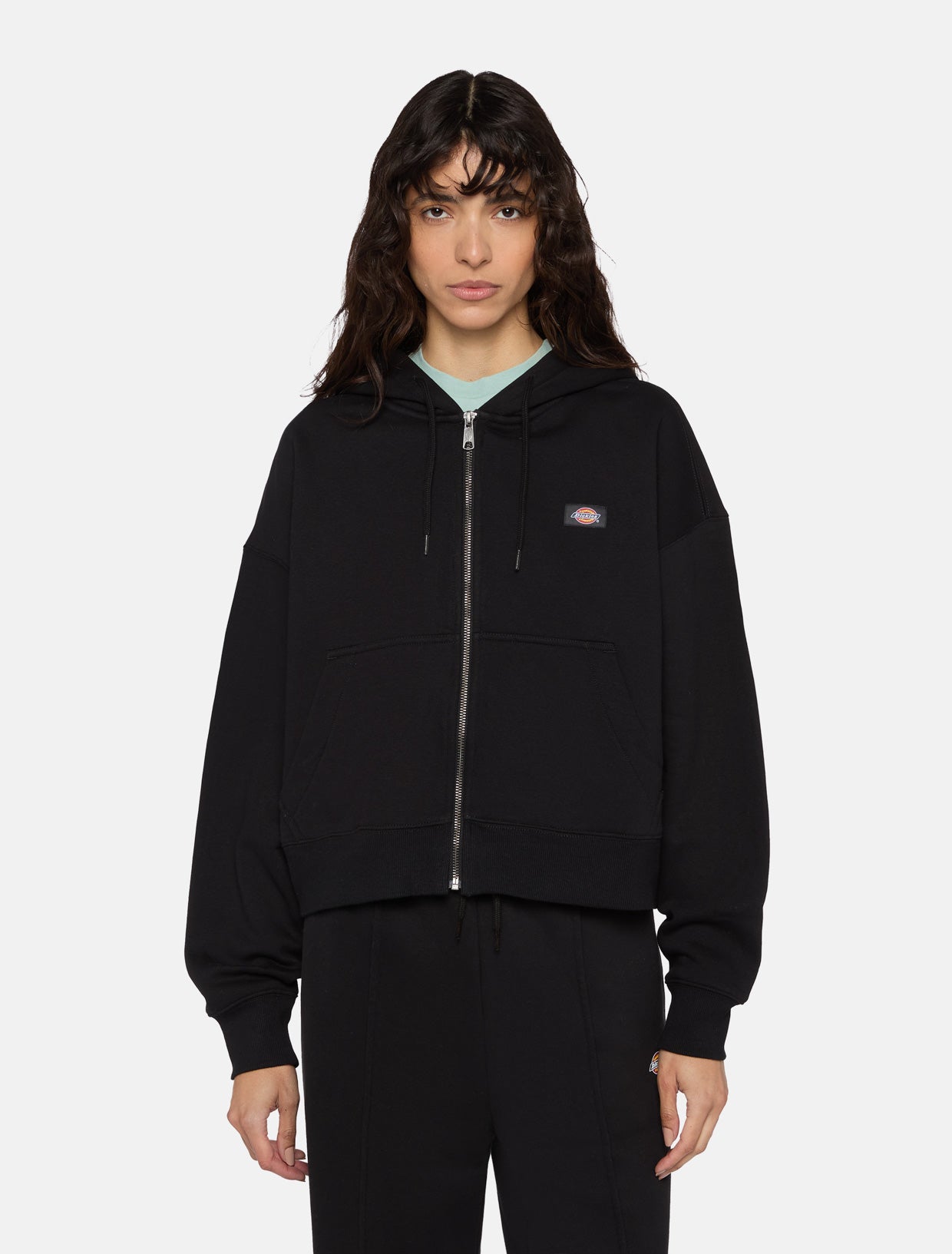 Oakport zip hoodie | Dickies EU GB