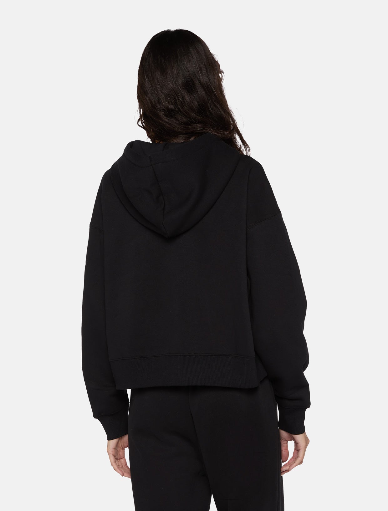 Oakport zip hoodie | Dickies EU GB
