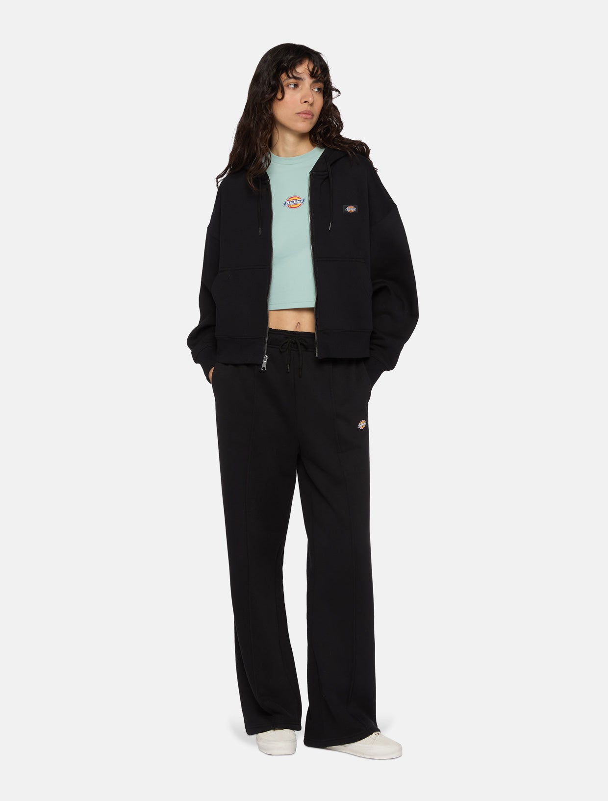 Oakport zip hoodie | Dickies EU GB