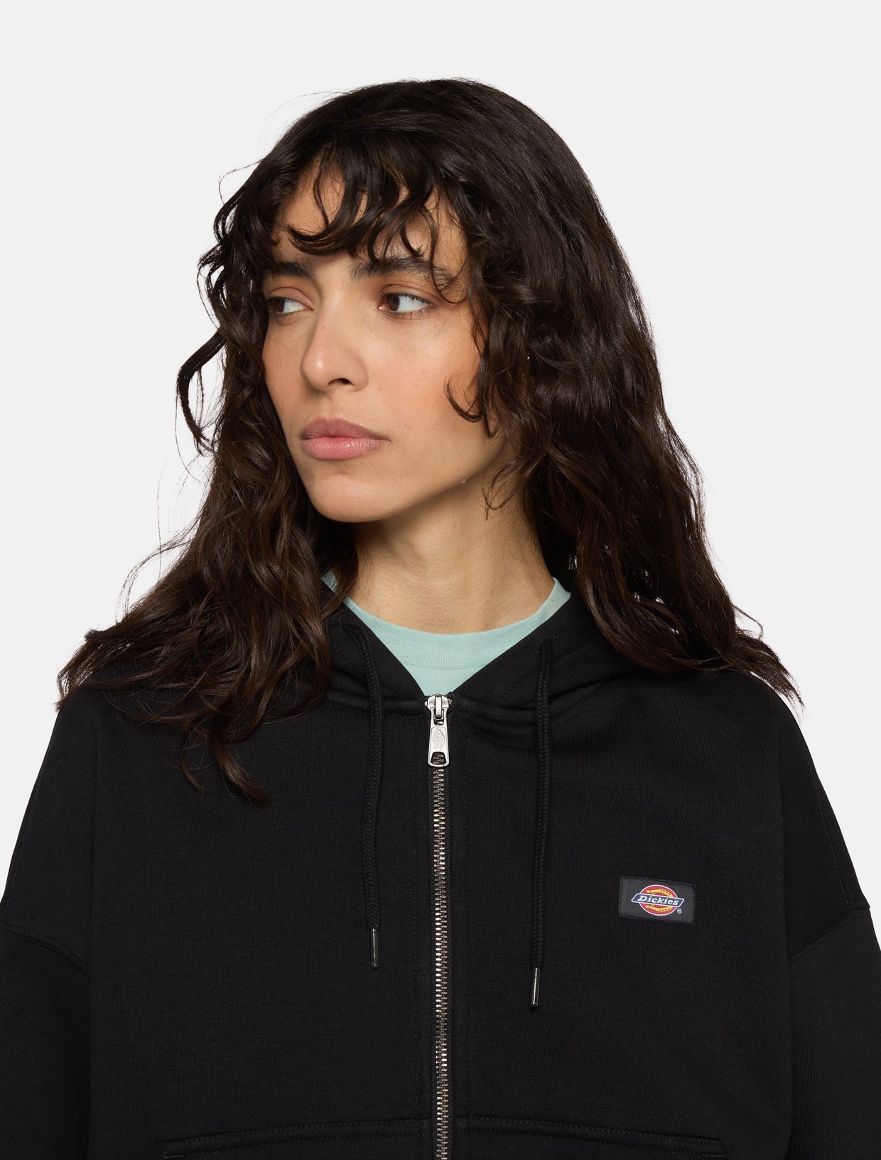 Oakport zip hoodie | Dickies EU GB