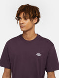 DK0A4YAIJ56-7