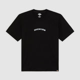 DK0A4Z8PBLK-50