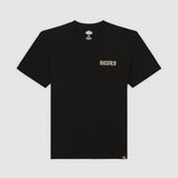 DK0A4Z8RBLK-50