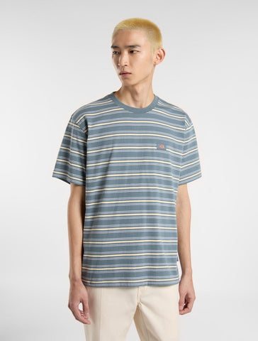 Lewistown stripe t-shirt | Dickies EU GB Dickies striped crew neck s/s tee street