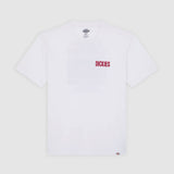 DK0A4Z8U0WH-50
