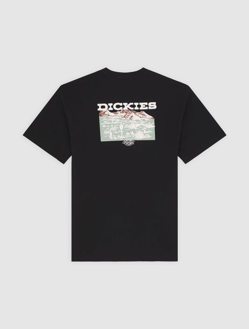 DK0A4Z8VBLK-60