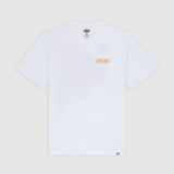 DK0A4Z980WH-50