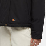 DK0A8643BLK-8