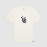 DK0A86720NT-50