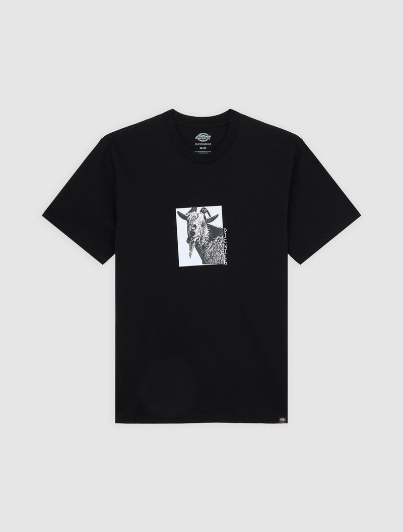 DK0A8672BLK-50