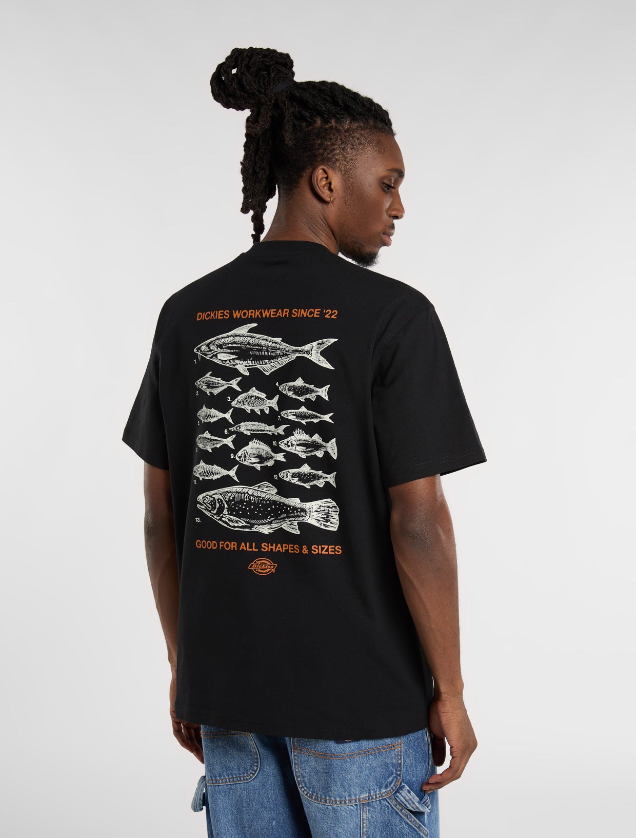 Laryville mid weight t-shirt | Dickies EU GB