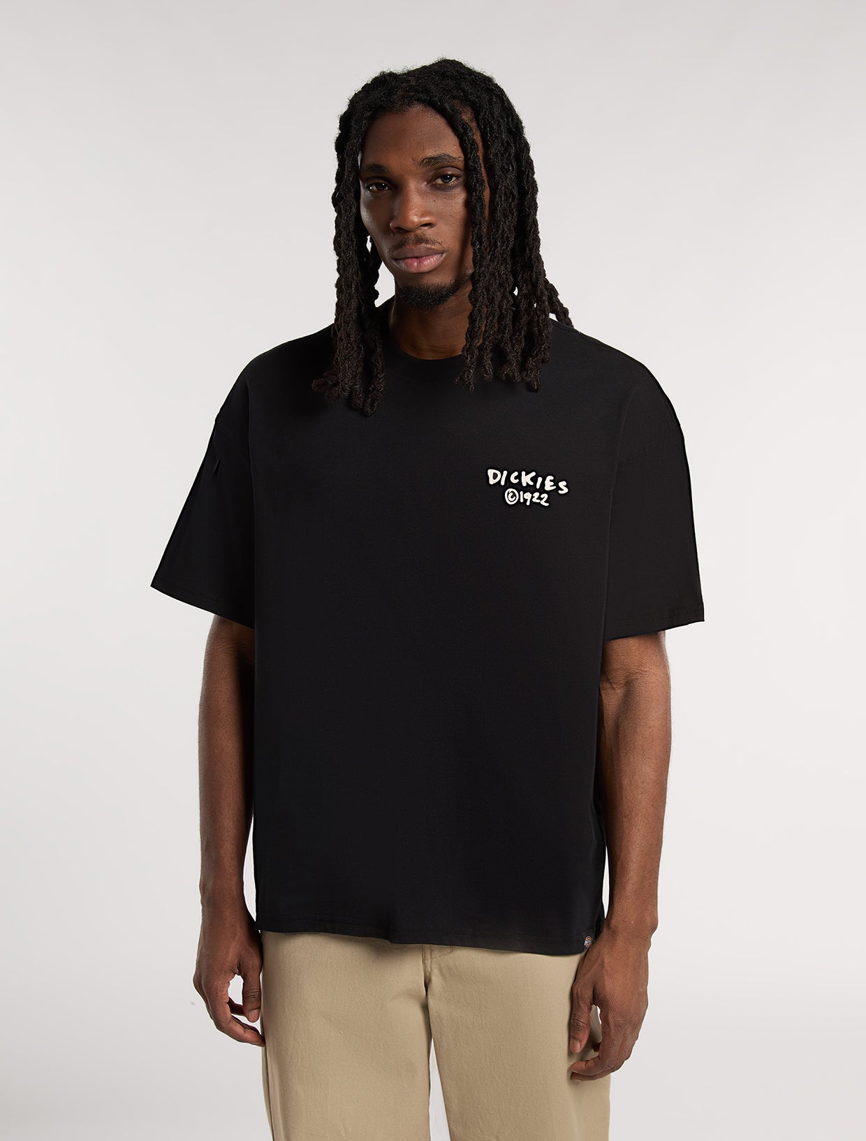 Sneedville light weight t-shirt | Dickies EU GB