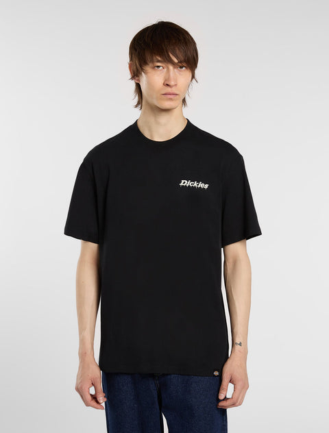 DK0A87QPBLK-2