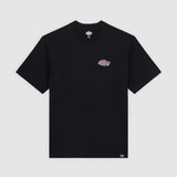 DK0A87QQBLK-50