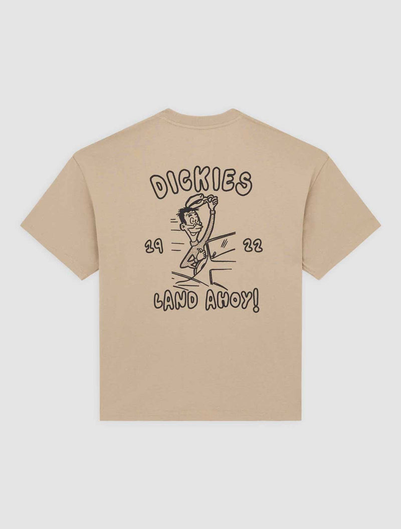 DK0A87QT0DS-60