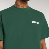 DK0A87QUPIN-7