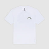 DK0A88870WH-50