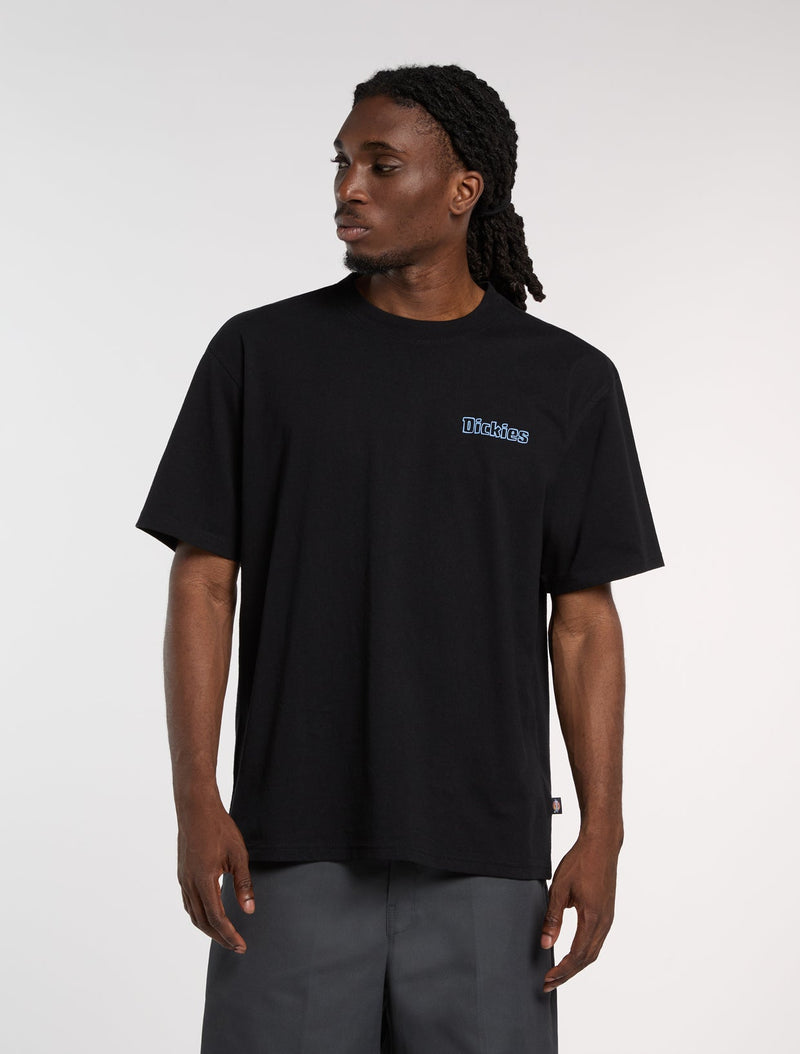 DK0A88GEBLK-2