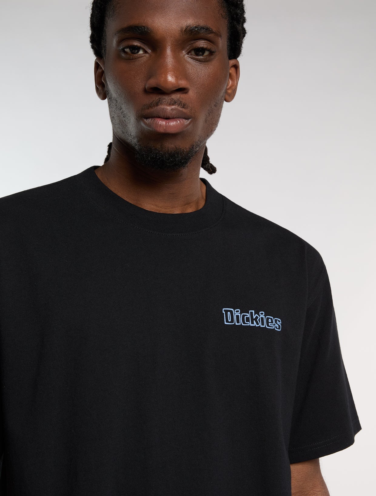 Fairlawn midweight t-shirt | Dickies EU GB