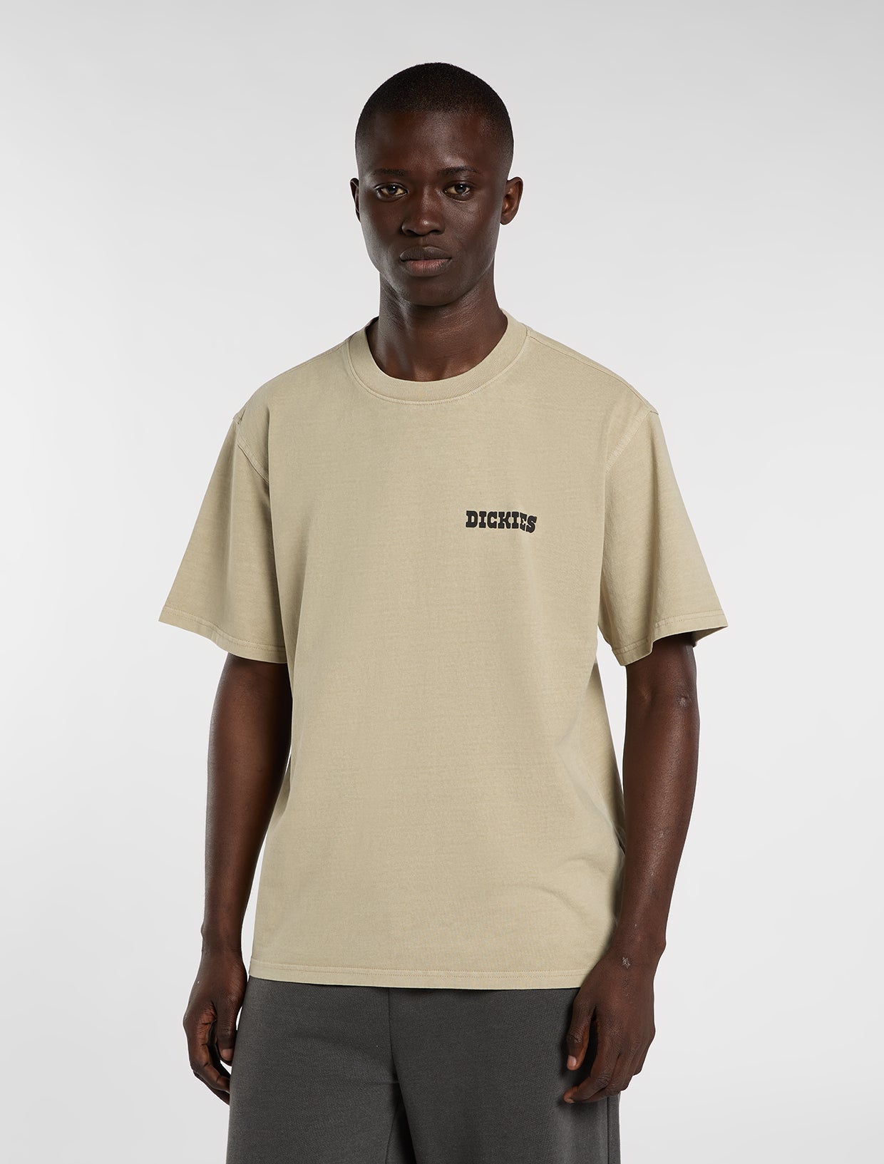 Darrtown midweight t-shirt | Dickies EU BE