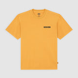 DK0A88QQSOR-50