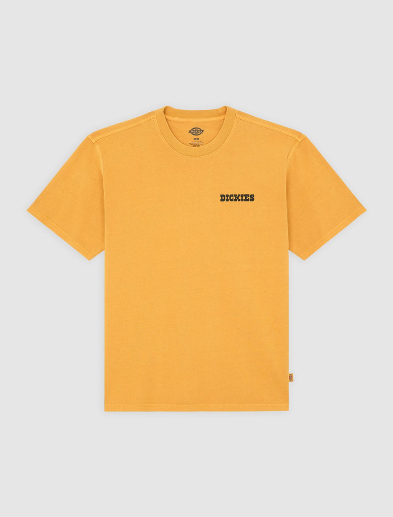 DK0A88QQSOR-50