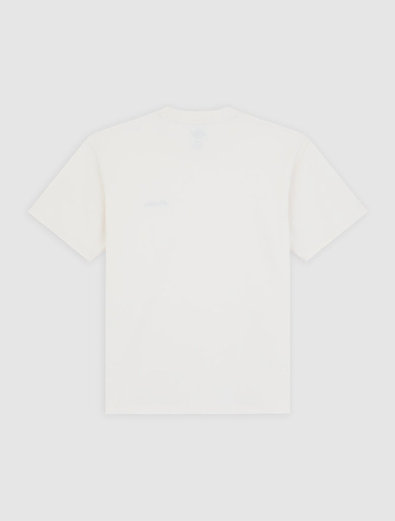 DK0A89ENECR-60