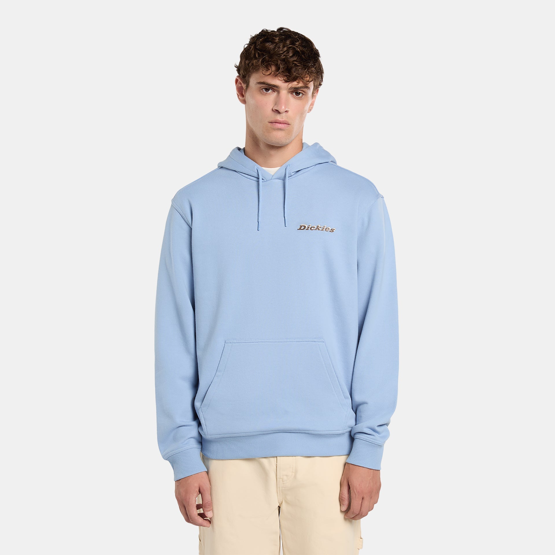 Thornville pullover hoodie | Dickies EU GB