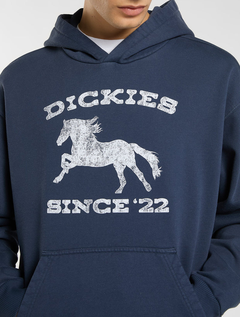 DK0A8CHY0NV-7