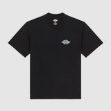 DK0A8CIOBLK-50
