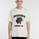 DK0A8CU2C48-1