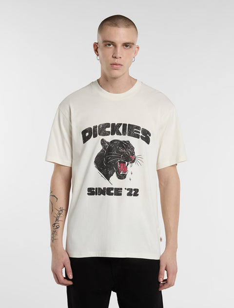 DK0A8CU2C48-1