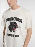 DK0A8CU2C48-7