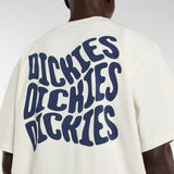 DK0A8DJBC48-9