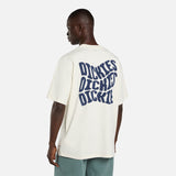 DK0A8DJBC48-99